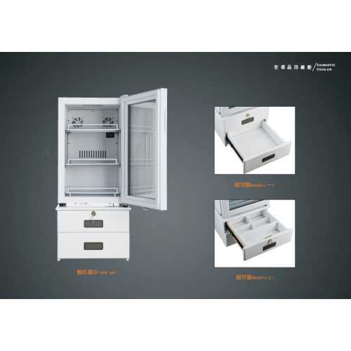 Pharmaceutical Refrigerator Home stainless steel 66l beauty portable mini fridge Manufactory